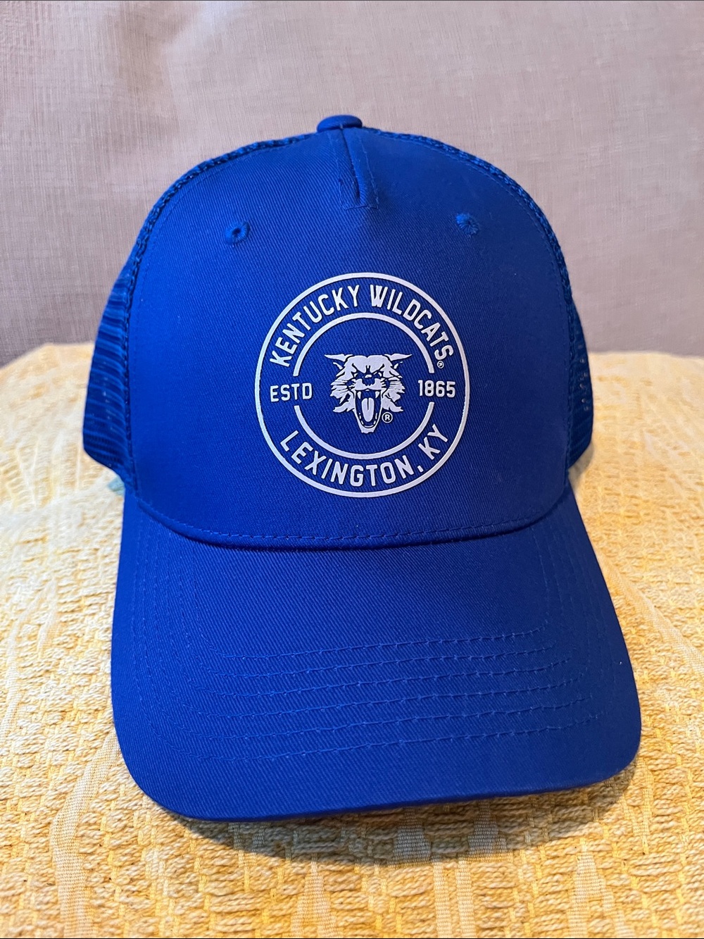 Top of the World Kentucky Wildcats Royal Blue Trucker Hat